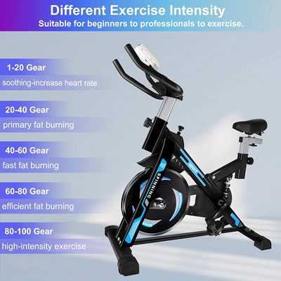 RESVIN Exercise Cycling Bike