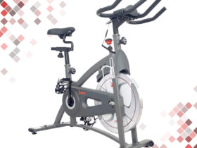 Sunny Health & Fitness SF-B1877