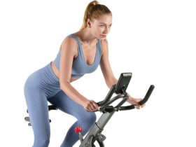 OVICX Q100 Exercise Bike for Home Indoor Cycling Fitness